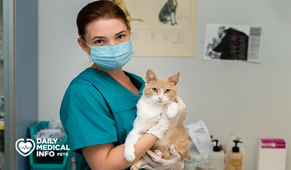 مواعيد تطعيمات القطط